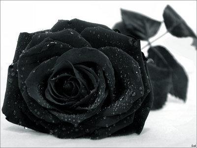 Desespoir
